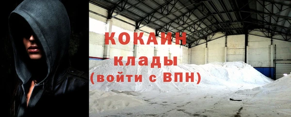 прущая мука Дмитриев