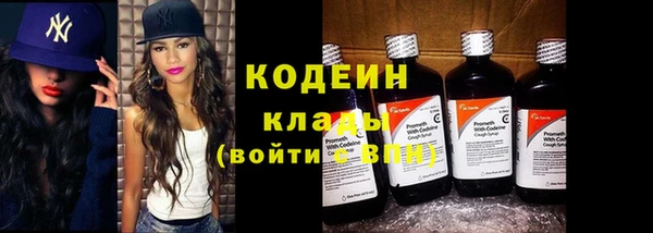 прущая мука Дмитриев