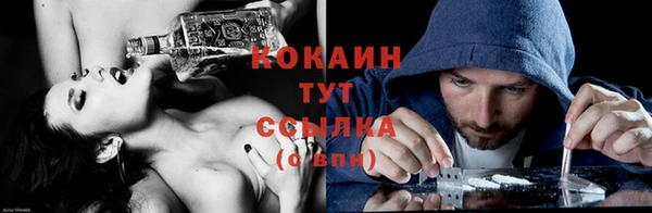 гидропоника Елизово