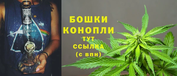 мескалин Гусиноозёрск
