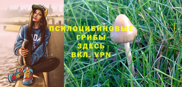 2c-b Дмитров